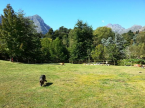 Glasshouse In The Winelands